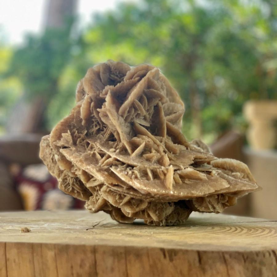 Casa Vacanze Capurre Trulli e Pajare a due passi dal Pizzo Gallipoli Esterno foto
