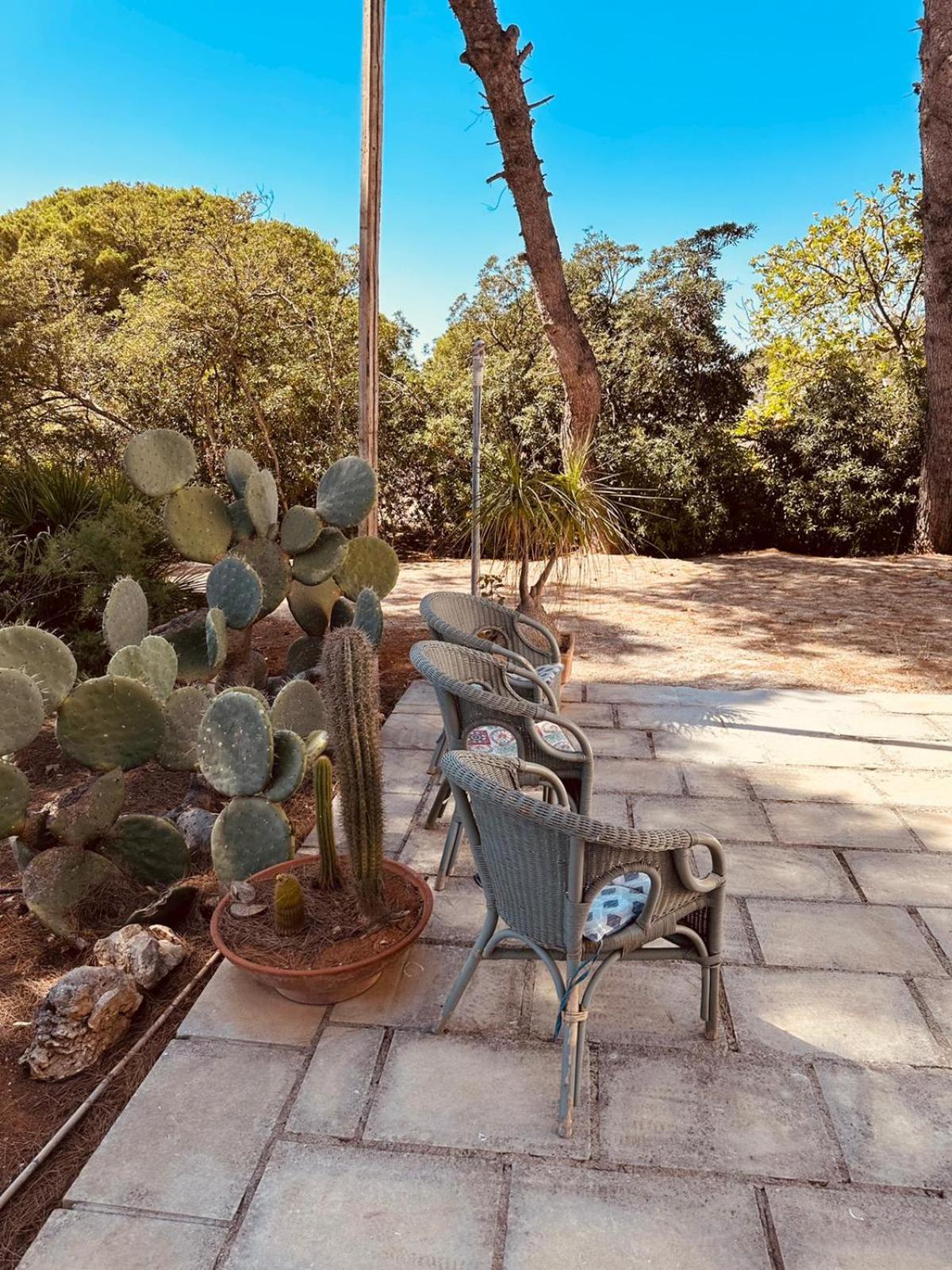 Casa Vacanze Capurre Trulli e Pajare a due passi dal Pizzo Gallipoli Esterno foto